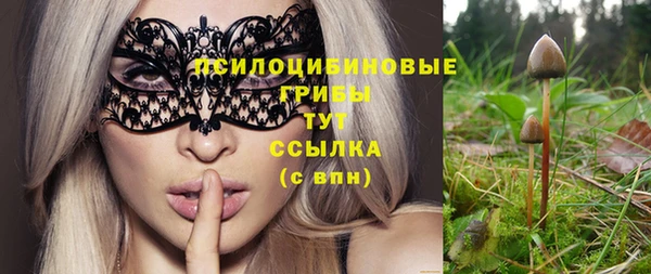 марихуана Медногорск