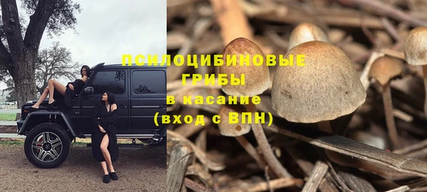 марихуана Медногорск