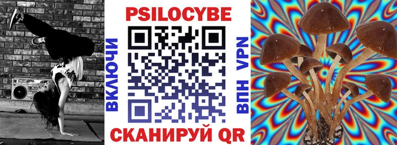 Купить где  Свирск  Псилоцибиновые грибы Psilocybe 